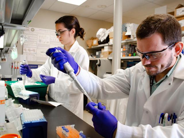 scientists at bench